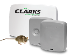 Smart res Clarks